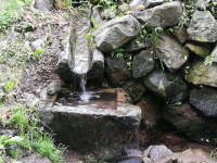 画像に含まれている可能性があるもの:植物、屋外、自然、水